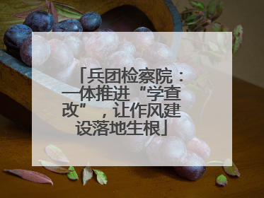 兵团检察院：一体推进“学查改”，让作风建设落地生根
